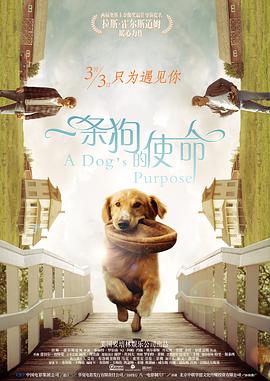 国产超碰在线一区